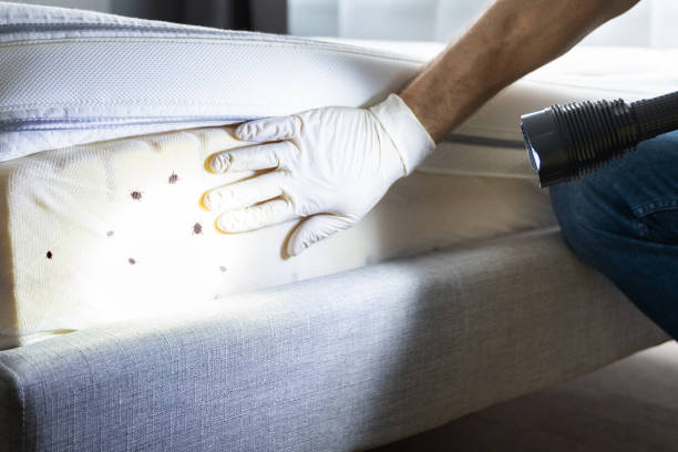 Best Emergency Pest Control  in West Salem, OH