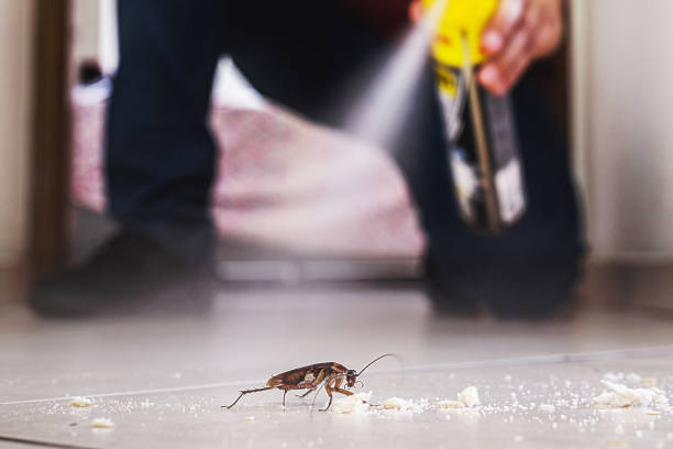 Best Insect Control  in West Salem, OH
